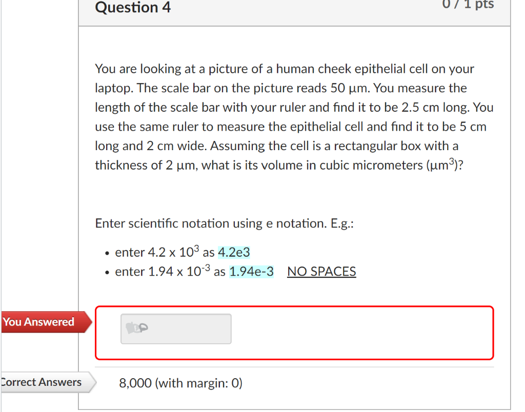 solved-question-4-071-pts-you-are-looking-at-a-picture-of-a-chegg