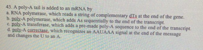 Solved 43. A poly-A tail is added to an mRNA by a. RNA | Chegg.com