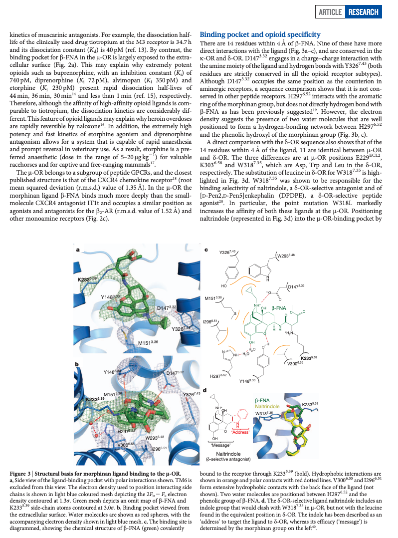 Solved What does this mean in layman terms? I need to do a