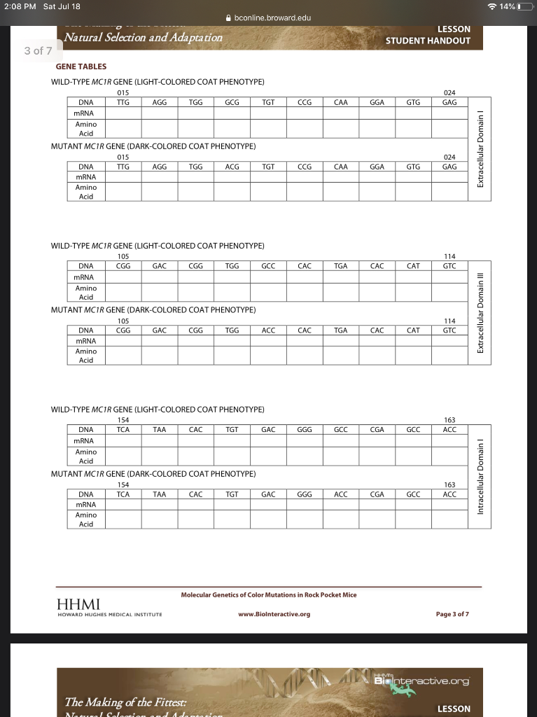 2 08 Pm Sat Jul 18 14 online Broward Edu Natural Chegg Com