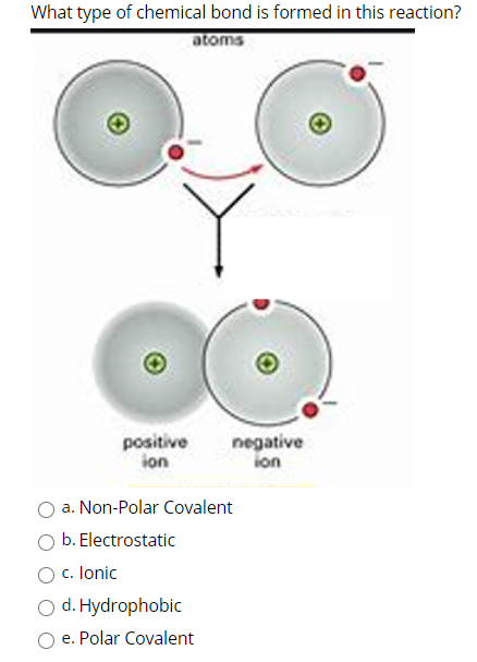 solved-what-type-of-chemical-bond-is-formed-in-this-chegg