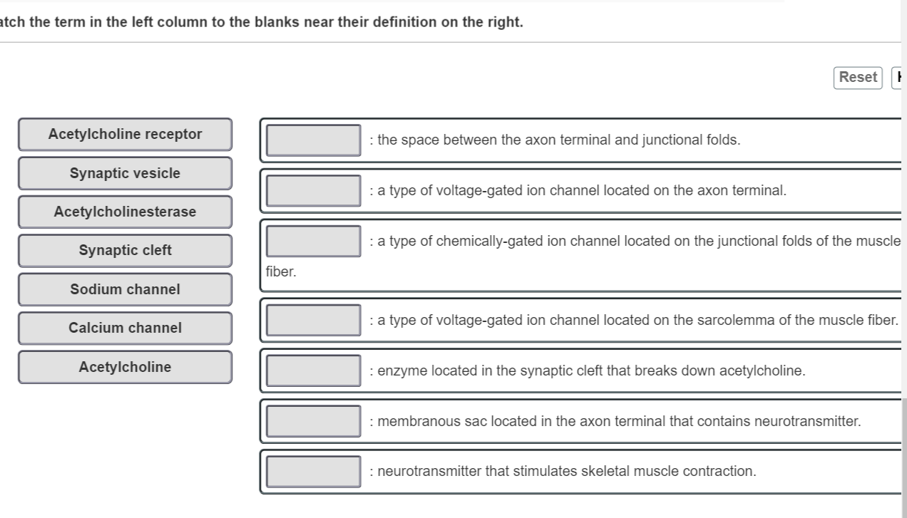 Solved atch the term in the left column to the blanks near