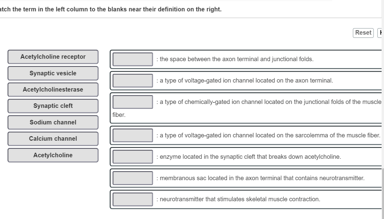 solved-atch-the-term-in-the-left-column-to-the-blanks-near-chegg