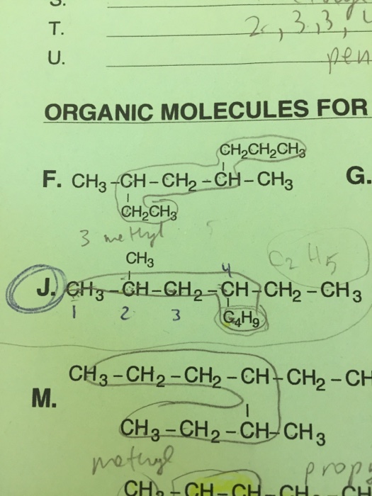 Solved T. U. ORGANIC MOLECULES FOR CH2CH CH F. CH3 | Chegg.com