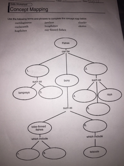 34 Skills Worksheet Concept Mapping Answers Holt Biology - Worksheet