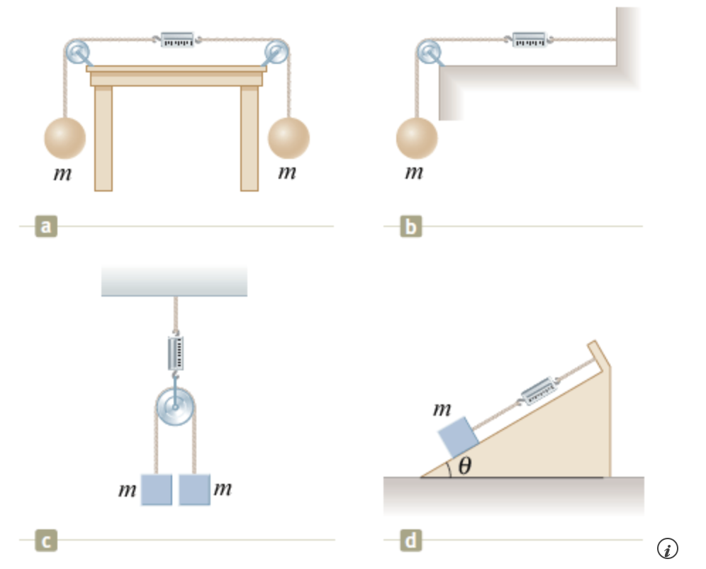Solved The systems shown below are in equilibrium with m =