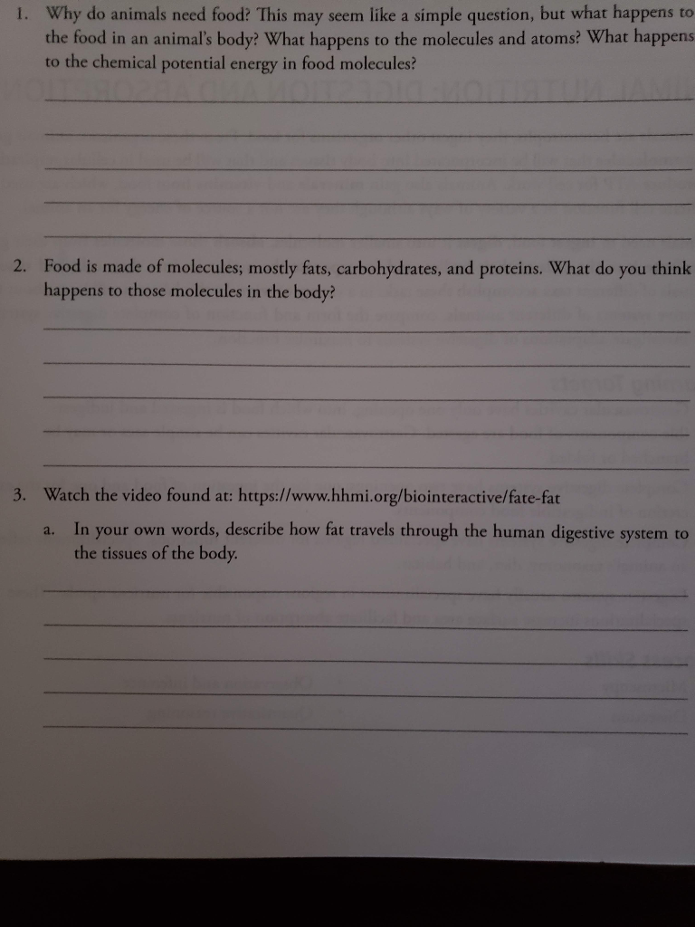 Solved Why do animals need food? This may seem like a simple