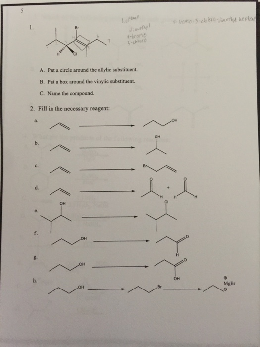 Solved A. Put A Circle Around The Allylic Substituent. B. | Chegg.com