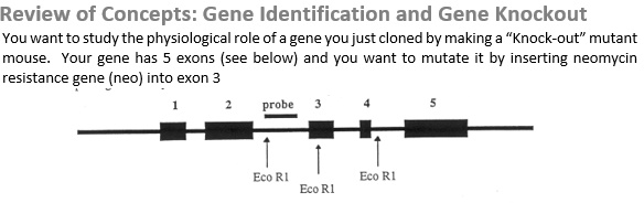 Solved May you check if this answer is right and add any | Chegg.com