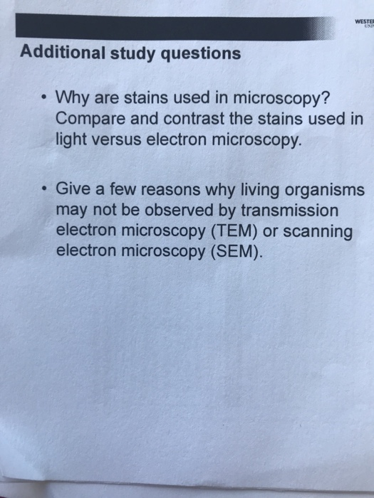 Solved WESTER Additional study questions Why are stains used