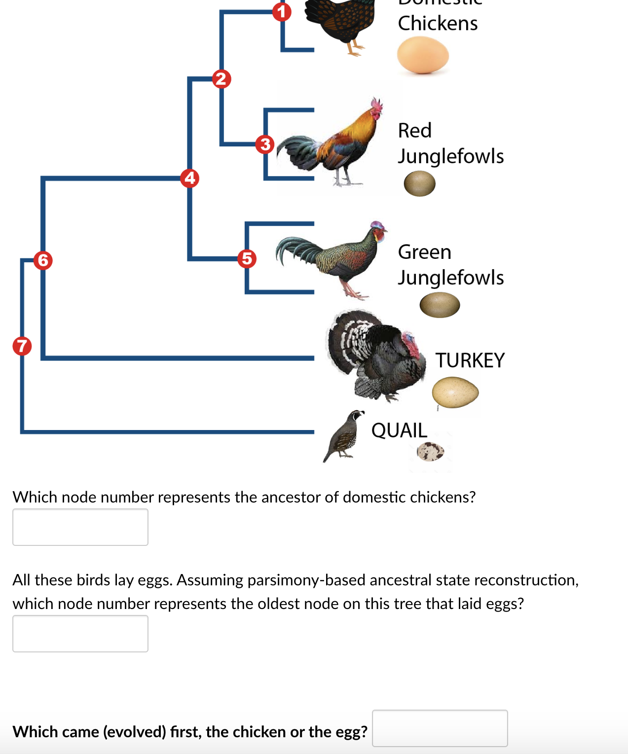 Sawai et al [PLoS One ∵. 2010; 5(5): e10639] | Chegg.com
