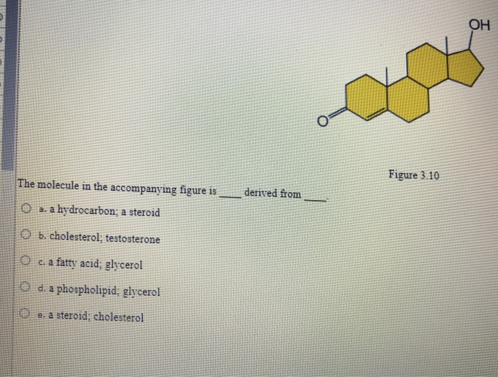 Solved он Figure 3.10 The molecule in the accompanying | Chegg.com