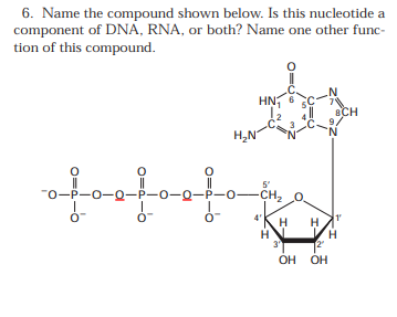 Solved 6. Name the compound shown below. Is this nucleotide | Chegg.com