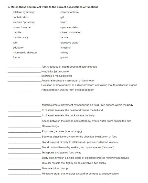 Solved 2. Match these anatomical traits to the correct | Chegg.com