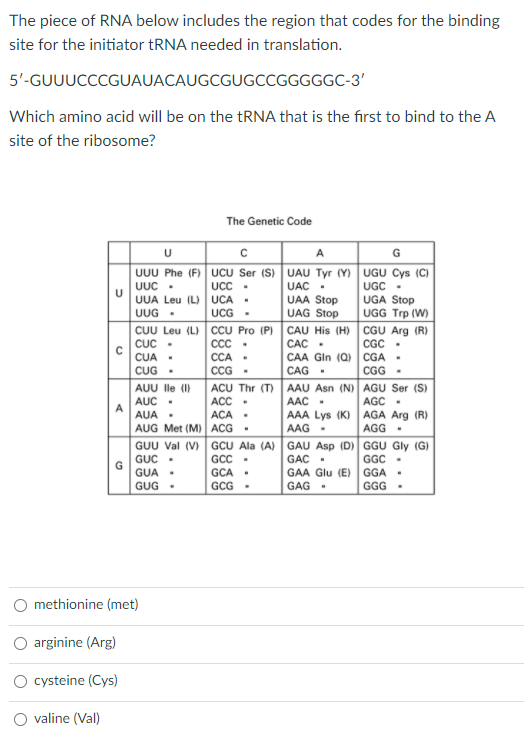 Solved The piece of RNA below includes the region that codes | Chegg.com