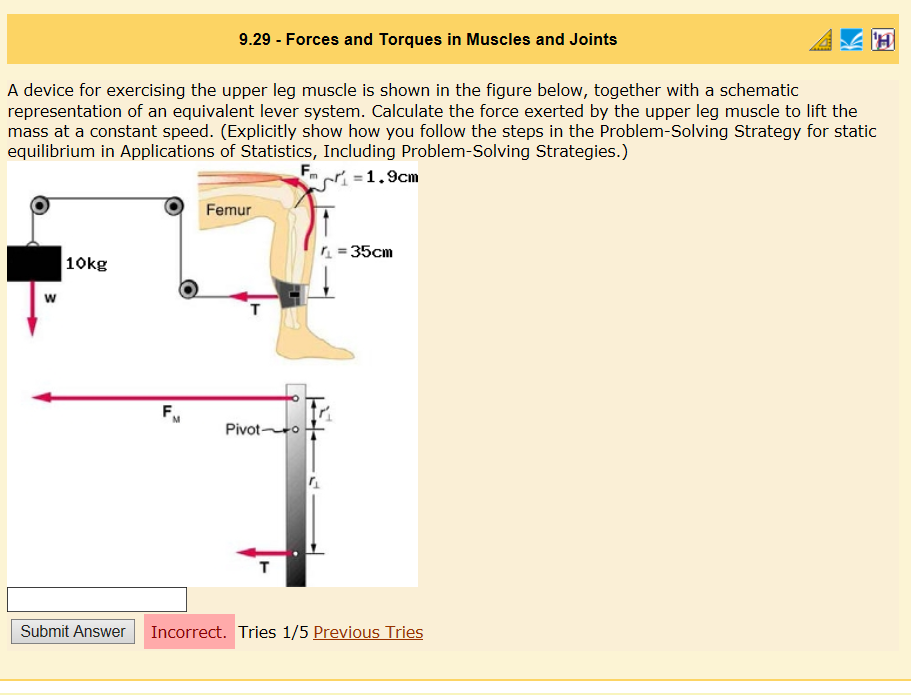 Solved 929   Forces And Torques In Muscles And Joints A | Cheggcom