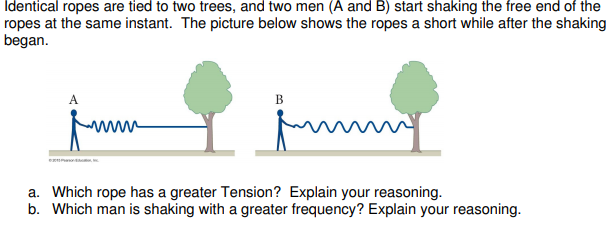 Two Ropes Experiment Solved Identical ropes are tied to two trees, and two men (A | Chegg.com