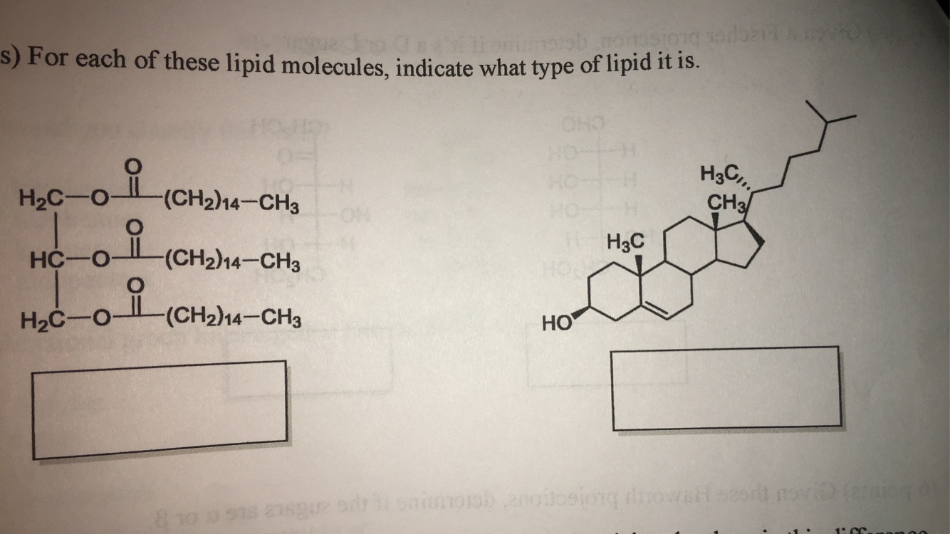 Solved 2015 s) For each of these lipid molecules, indicate | Chegg.com