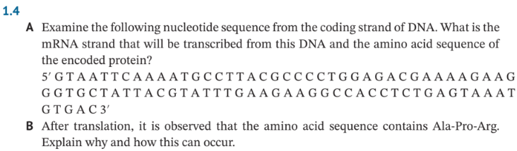 Solved A Examine the following nucleotide sequence from the | Chegg.com