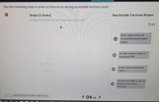 Solved Put the following steps in order as they occur during | Chegg.com