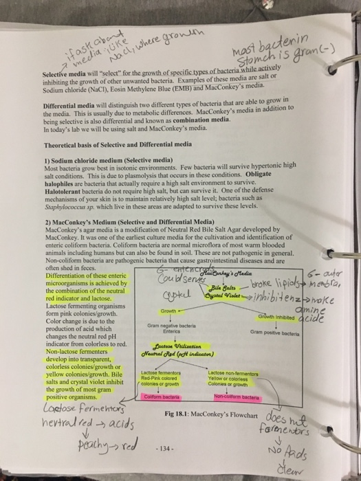 Solved Module 18 Selective And Differential Media Objectives 