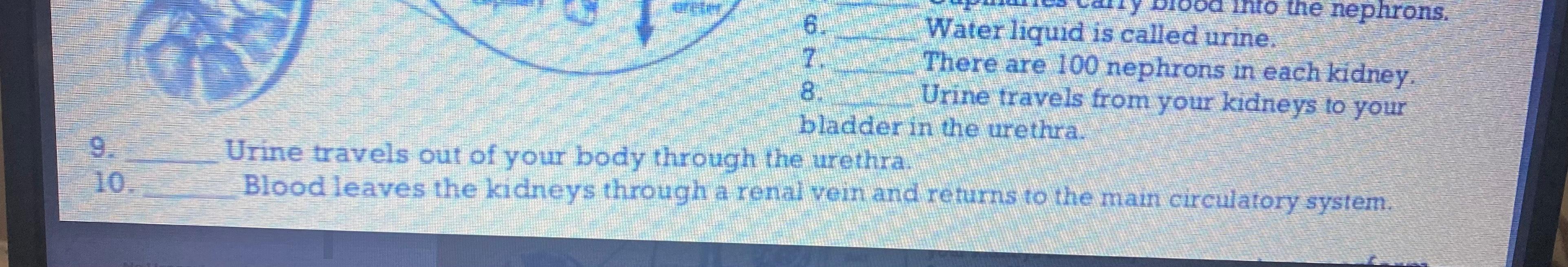 Solved Into the nephrons. 6 Water liquid is called urine.