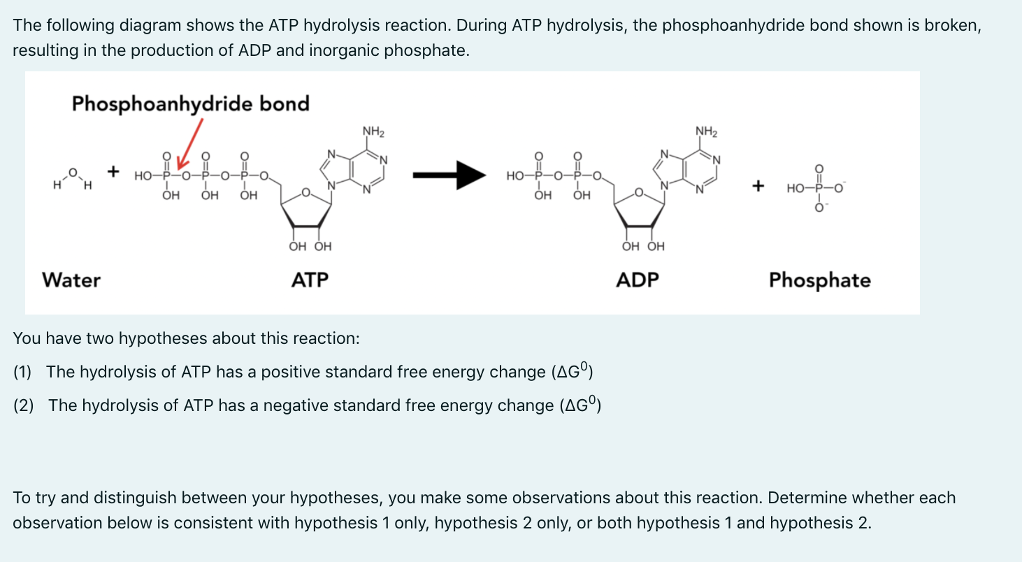 hydrolysis reaction diagram