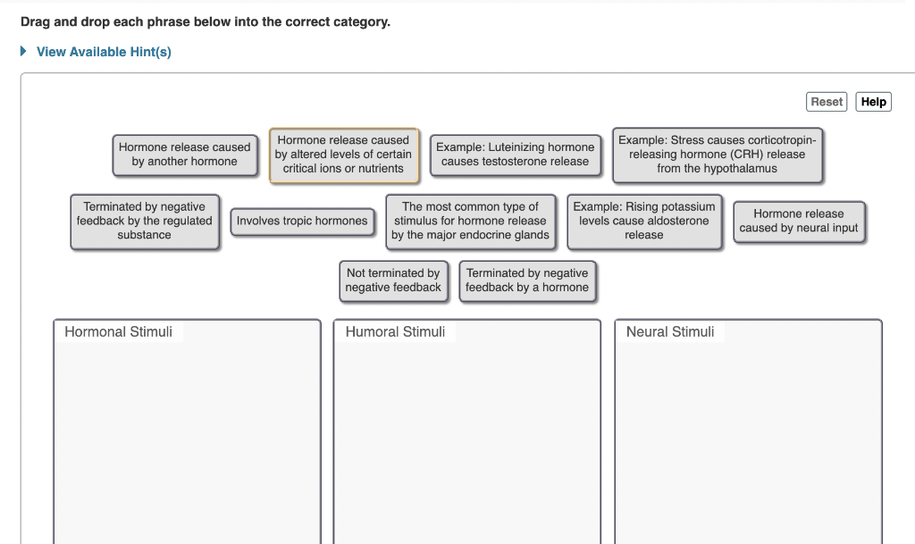 solved-drag-and-drop-each-phrase-below-into-the-correct-chegg