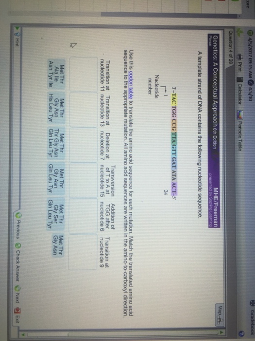 Solved A template strand of DNA contains the following