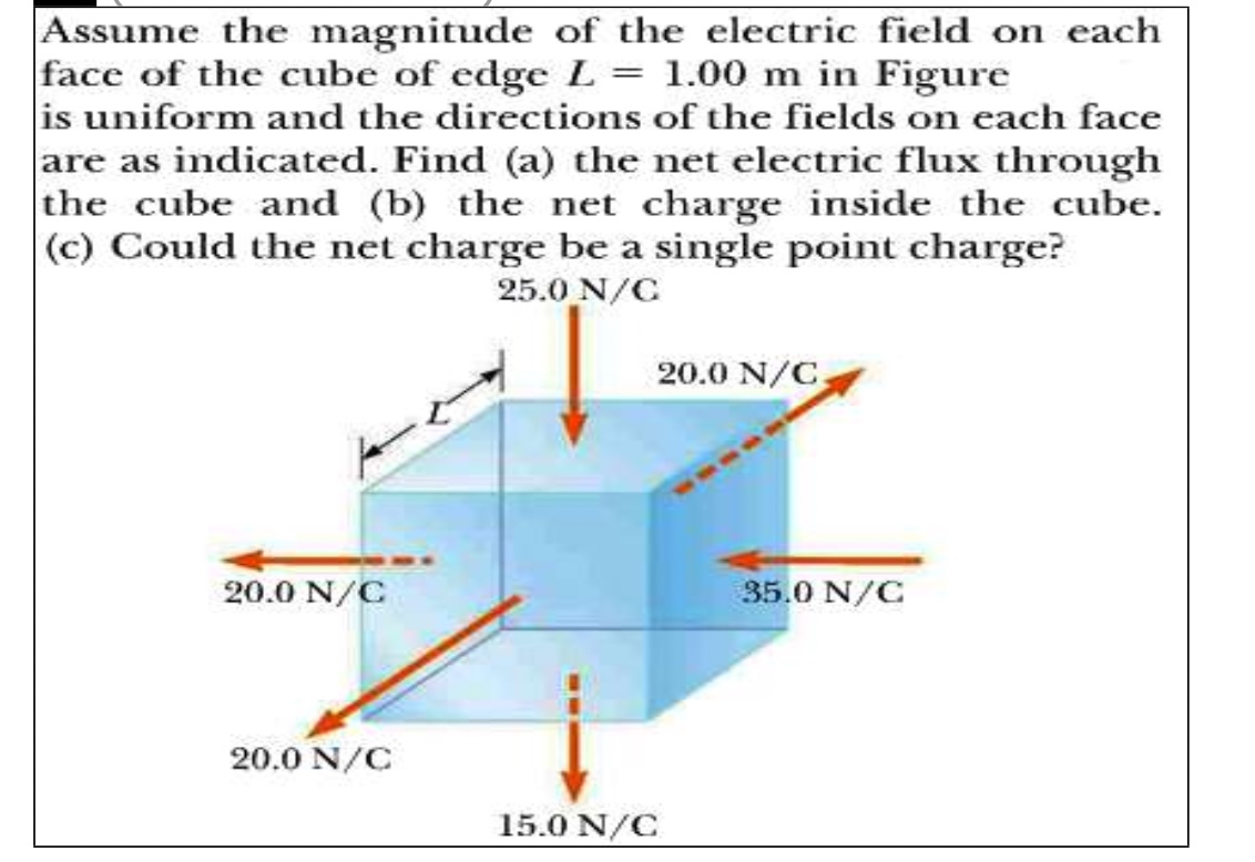 Solved Assume the magnitude of the electric field on each | Chegg.com