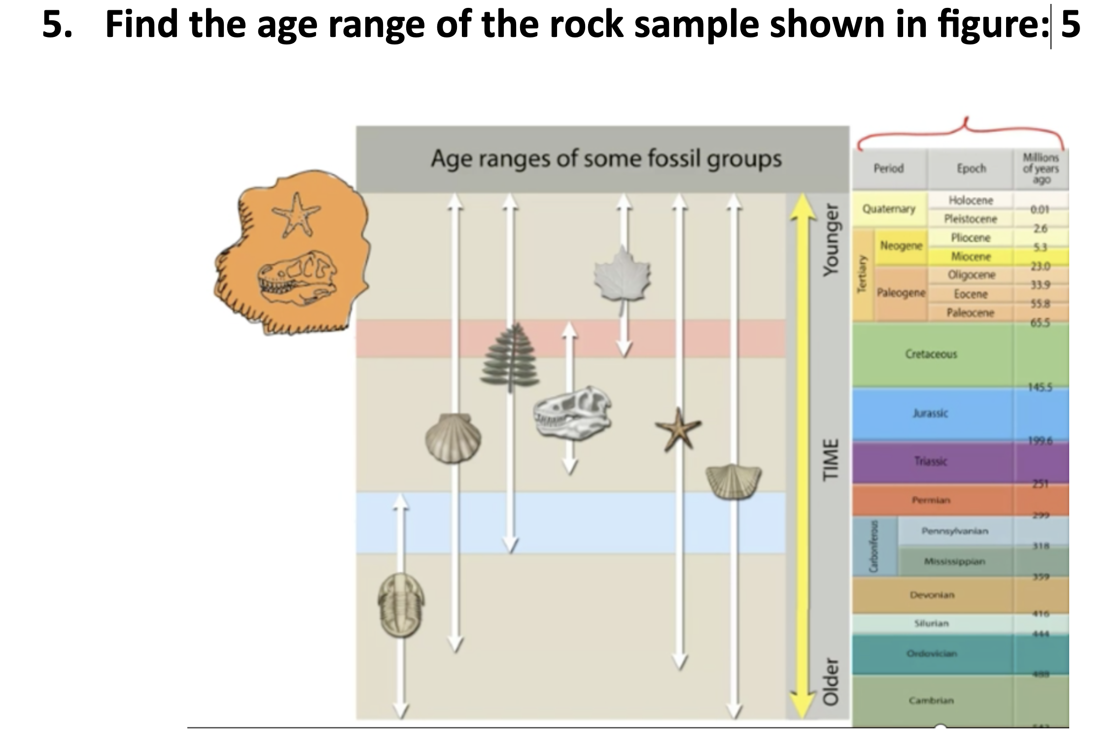 Solved 5. Find the age range of the rock sample shown in | Chegg.com