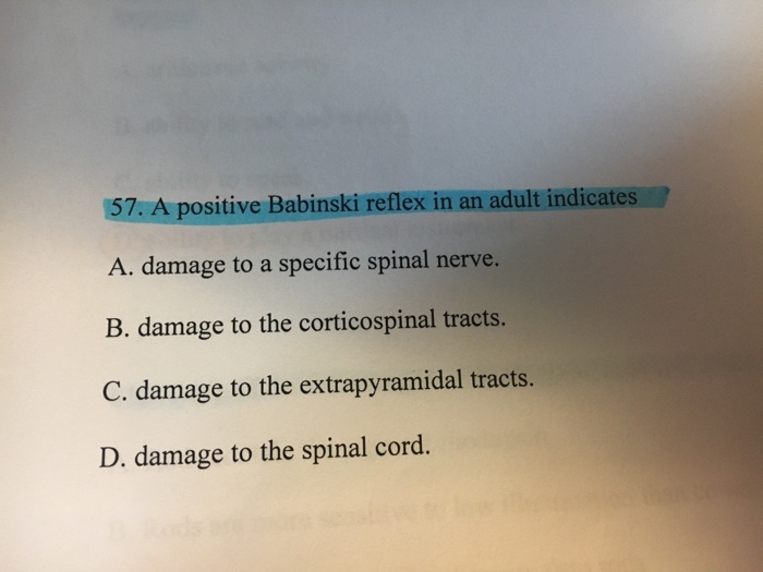 Solved 57 A Positive Babinski Reflex In An Adult Indicates Chegg