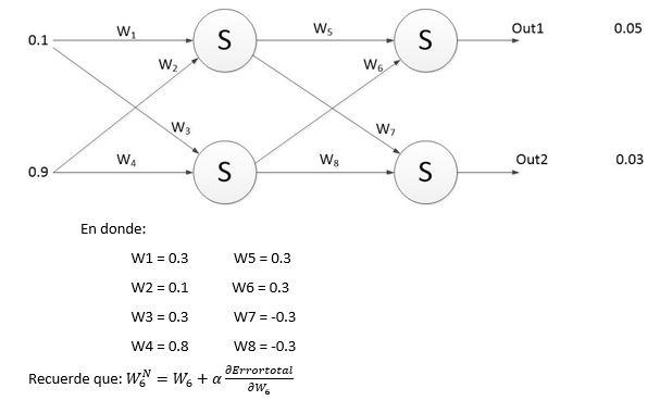 Solved According to the graph of the proposed neural | Chegg.com