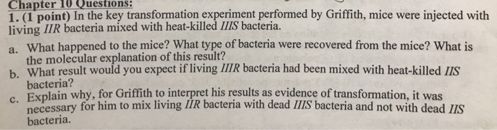 experiment scenario 1 mice answers key