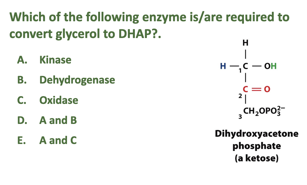 Solved Which of the following enzyme is/are required