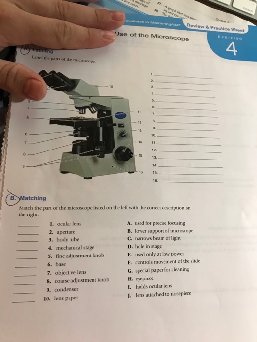 microscope-tutorial-worksheet-answers-free-download-qstion-co