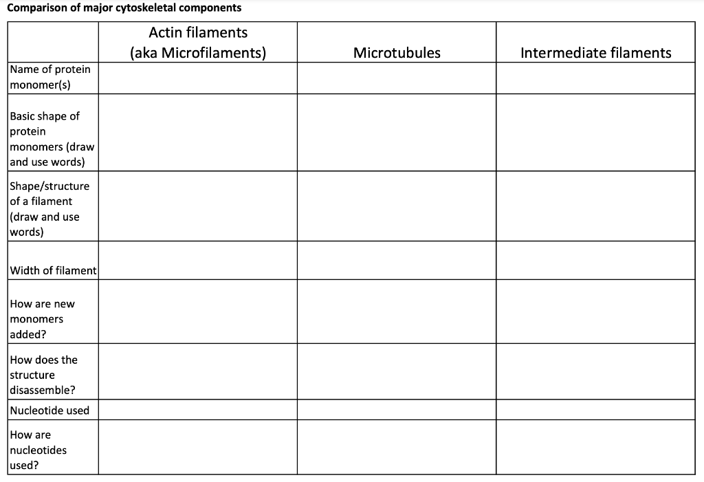 Solved Name: Comparison of major cytoskeletal components | Chegg.com