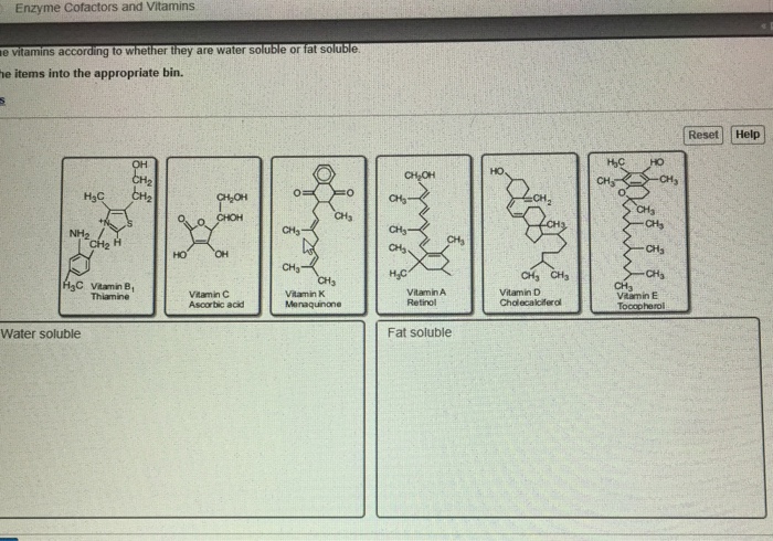 Solved Enzyme Cofactors and Vitamins e vitamins according to | Chegg.com