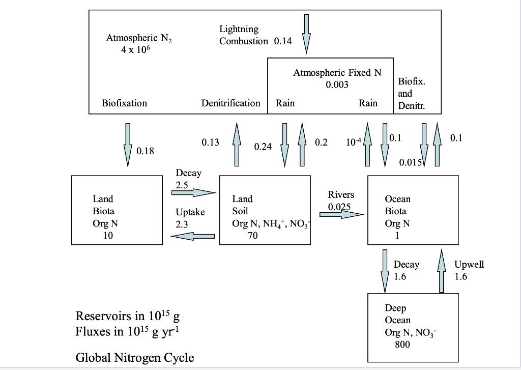 I UPP 2) Nitrogen Cycle: Use the box model of the | Chegg.com