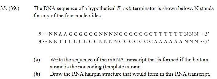 Solved 35. (39.) The DNA sequence of a hypothetical E. coli | Chegg.com