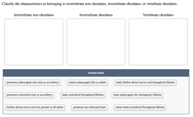 Solved Classify the characteristics as belonging to | Chegg.com