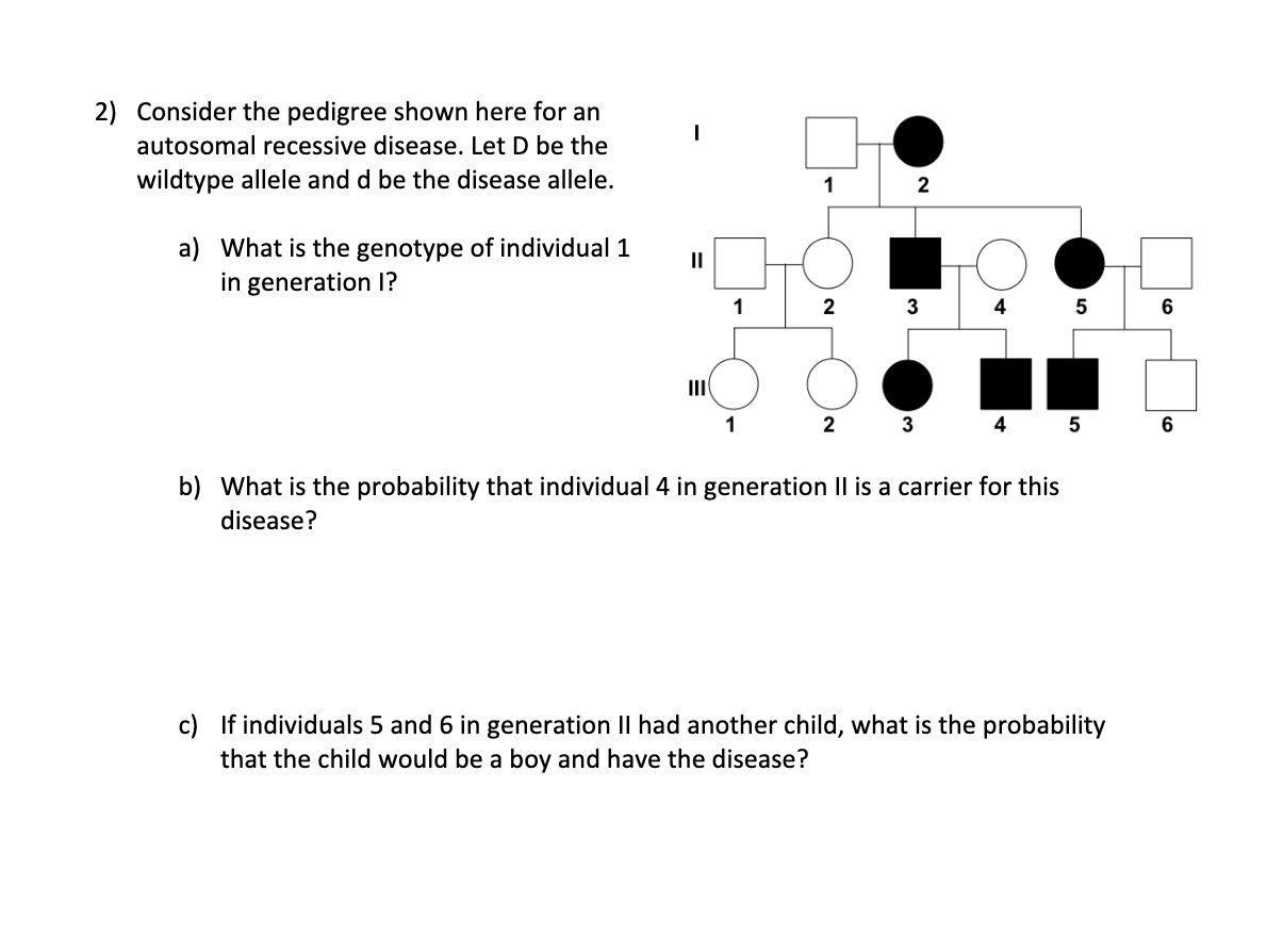 Solved 2) Consider the pedigree shown here for an autosomal | Chegg.com