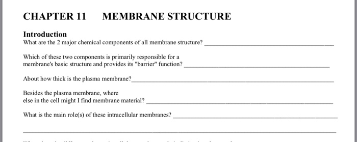 Solved CHAPTER 11 MEMBRANE STRUCTURE Introduction What are | Chegg.com