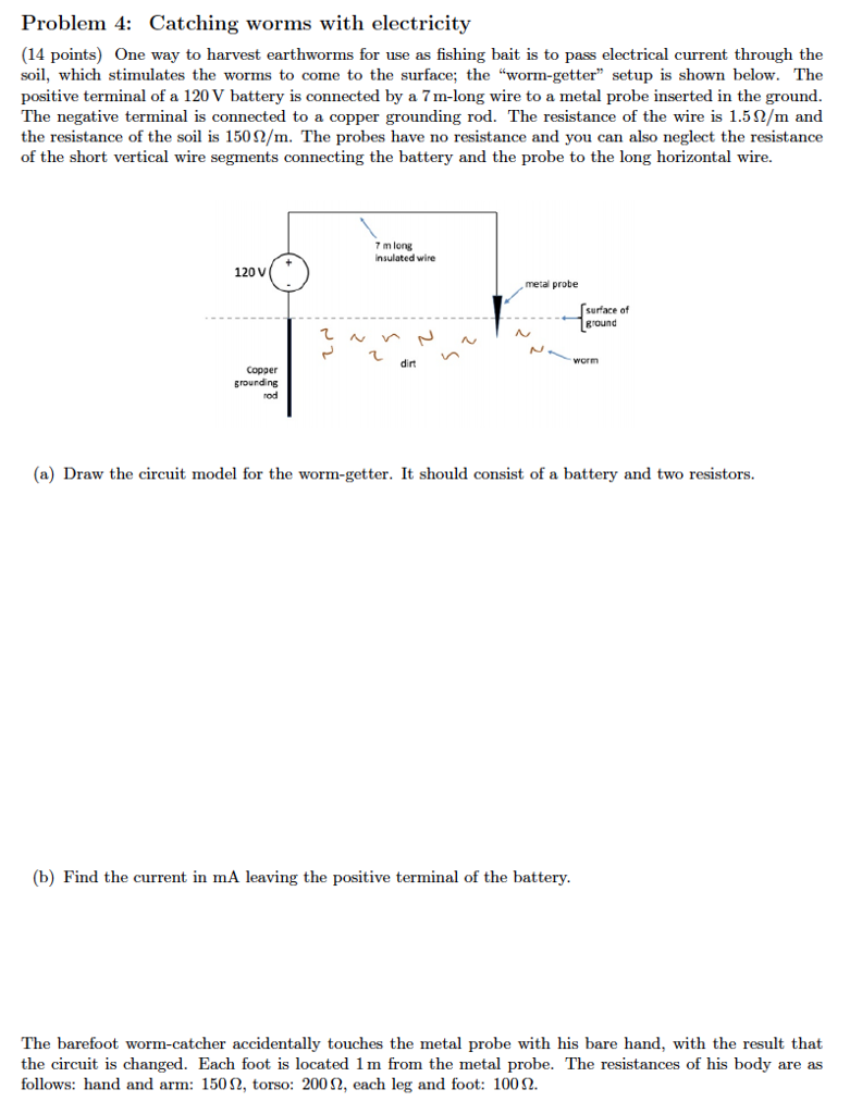 Solved Problem 4: Catching worms with electricity (14 points | Chegg.com