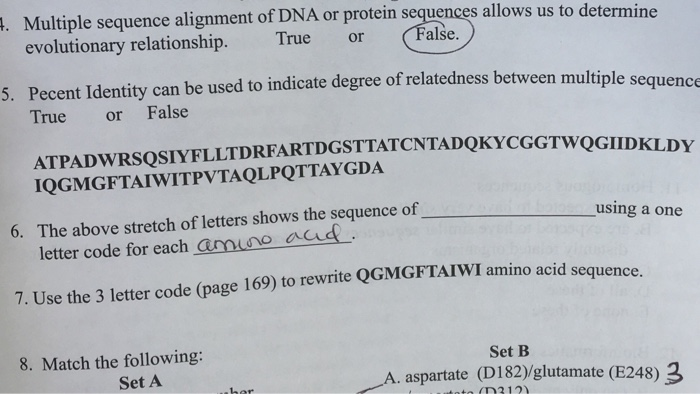 Solved i. Multiple sequence alignment of DNA or protein | Chegg.com