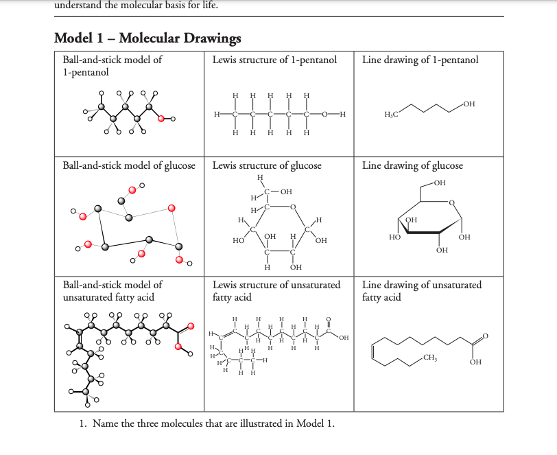 solved-5-how-many-bonds-are-typically-formed-by-each-of-the-chegg