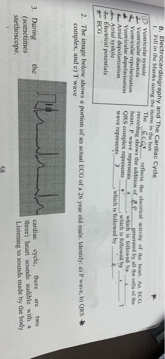 Solved B. Electrocardiography and The Cardiac Cycle . Fill | Chegg.com