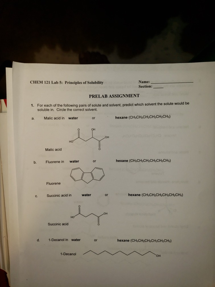 Solutions and solubility quiz edgenuity image