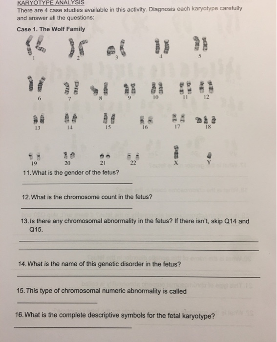 Solved KARYOTYPE ANALYSIS There are 4 case studies available | Chegg.com