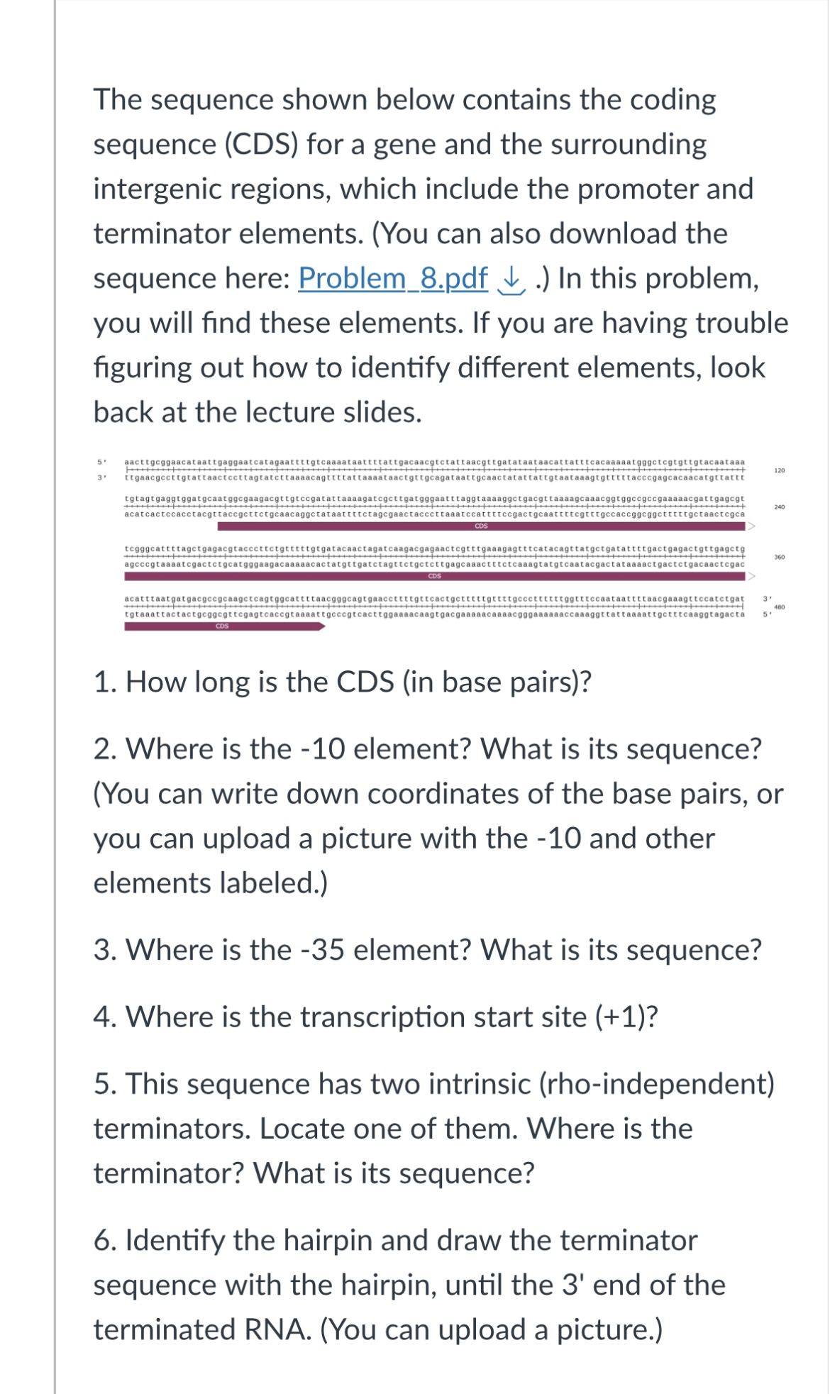 Solved The sequence shown below contains the coding sequence | Chegg.com